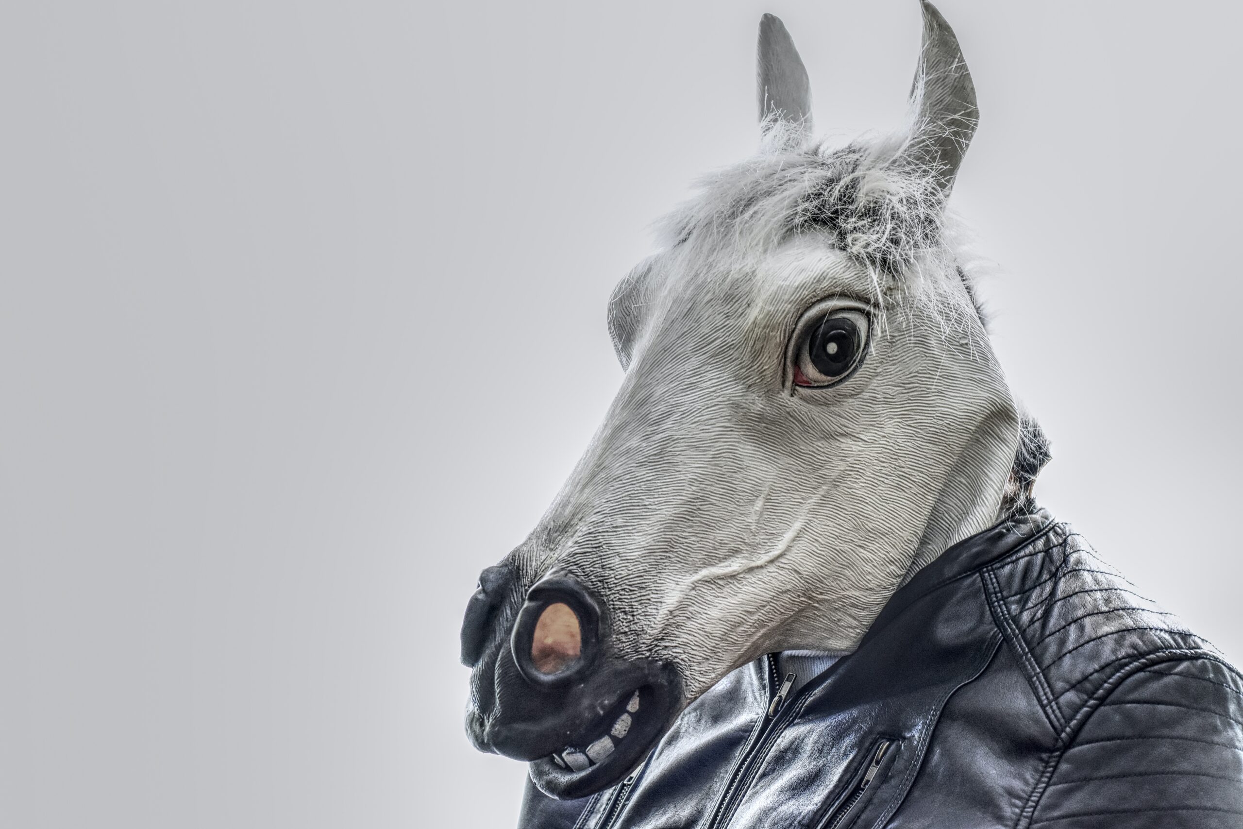 Someone with a black leather jacket wearing a horse costume head