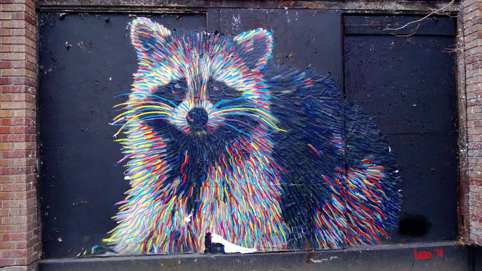 Article main image for A colorful raccoon